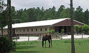 Steel Buildings Riding Arena with horse grazing in the fore ground